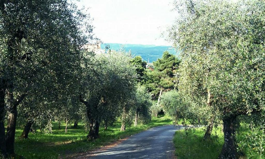 Podere Gianpaolo Pescia Exterior photo